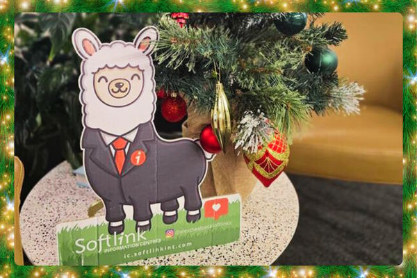 Alex the Alpaca on 2024 review